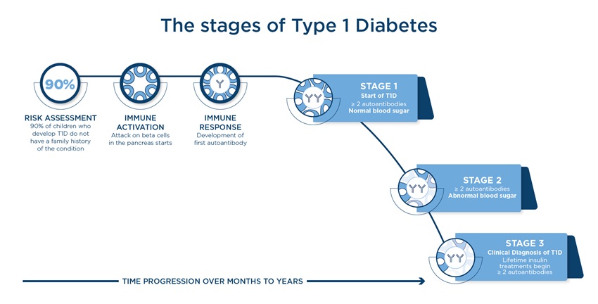 Blue and white graphic showing the 3 stages of Type 1 Diabetes